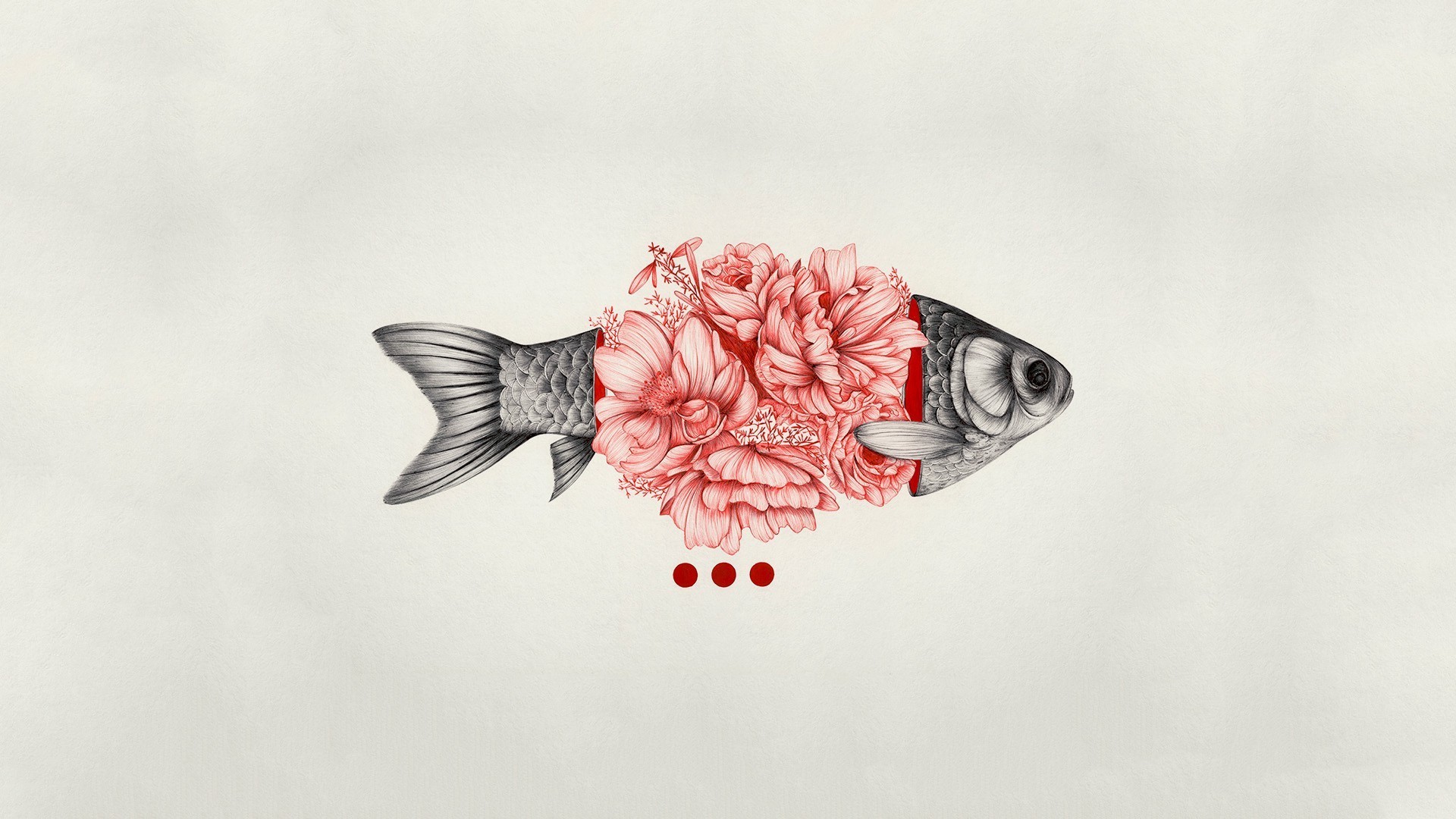 fish, Animals Wallpaper