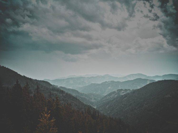 nature, Landscape, Trees, Mist HD Wallpaper Desktop Background