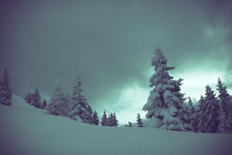 winter, Landscape, Trees HD Wallpaper Desktop Background
