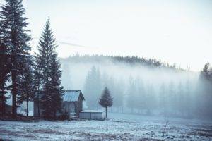 winter, Landscape, Mist, Trees