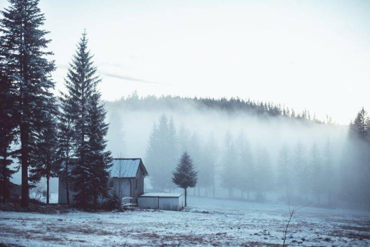 winter, Landscape, Mist, Trees HD Wallpaper Desktop Background