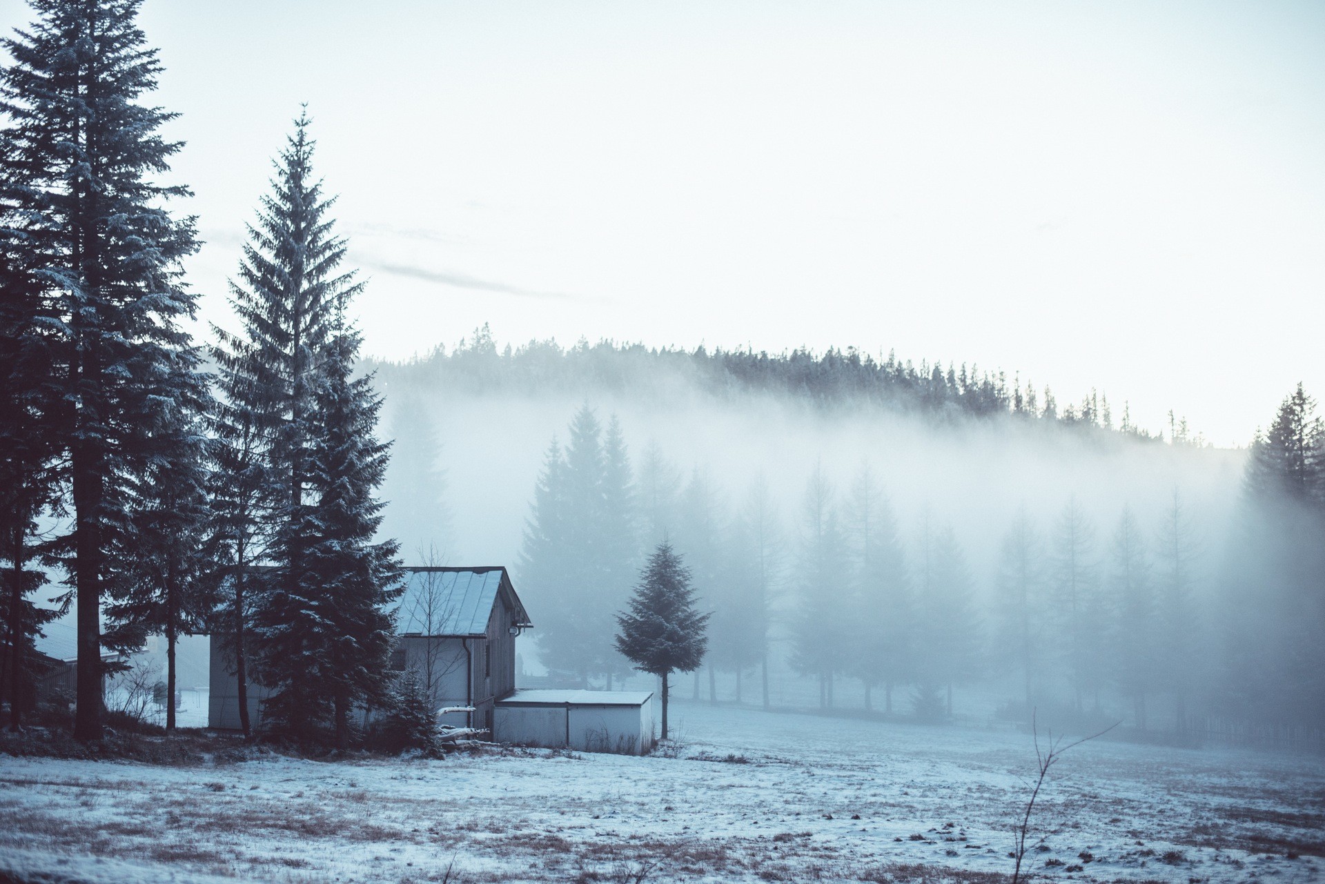 winter, Landscape, Mist, Trees Wallpaper