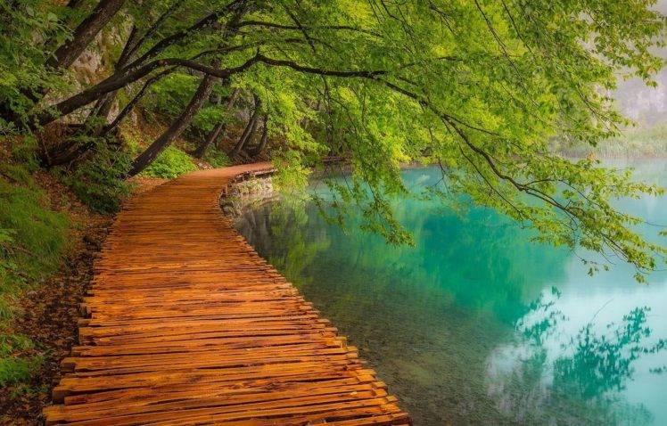 landscape, Photography, Nature, Walkway, Lake, Trees, Path, Turquoise, Water, Plitvice National Park, Croatia HD Wallpaper Desktop Background