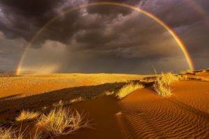 landscape, Photography, Nature, Rainbows, Desert, Sand, Dark, Clouds, Dry grass, Sunlight, Storm