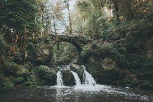 nature, Landscape, Waterfall, Bridge, Trees, Forest, Water, Moss