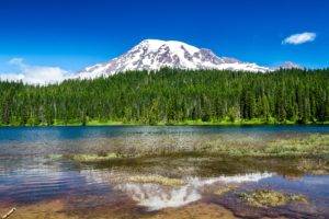 nature, Water, Mountains, Forest, Mt Rainier