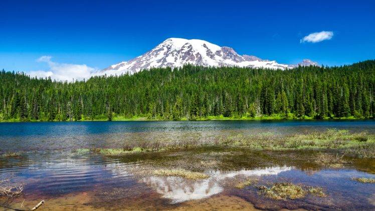 nature, Water, Mountains, Forest, Mt Rainier HD Wallpaper Desktop Background