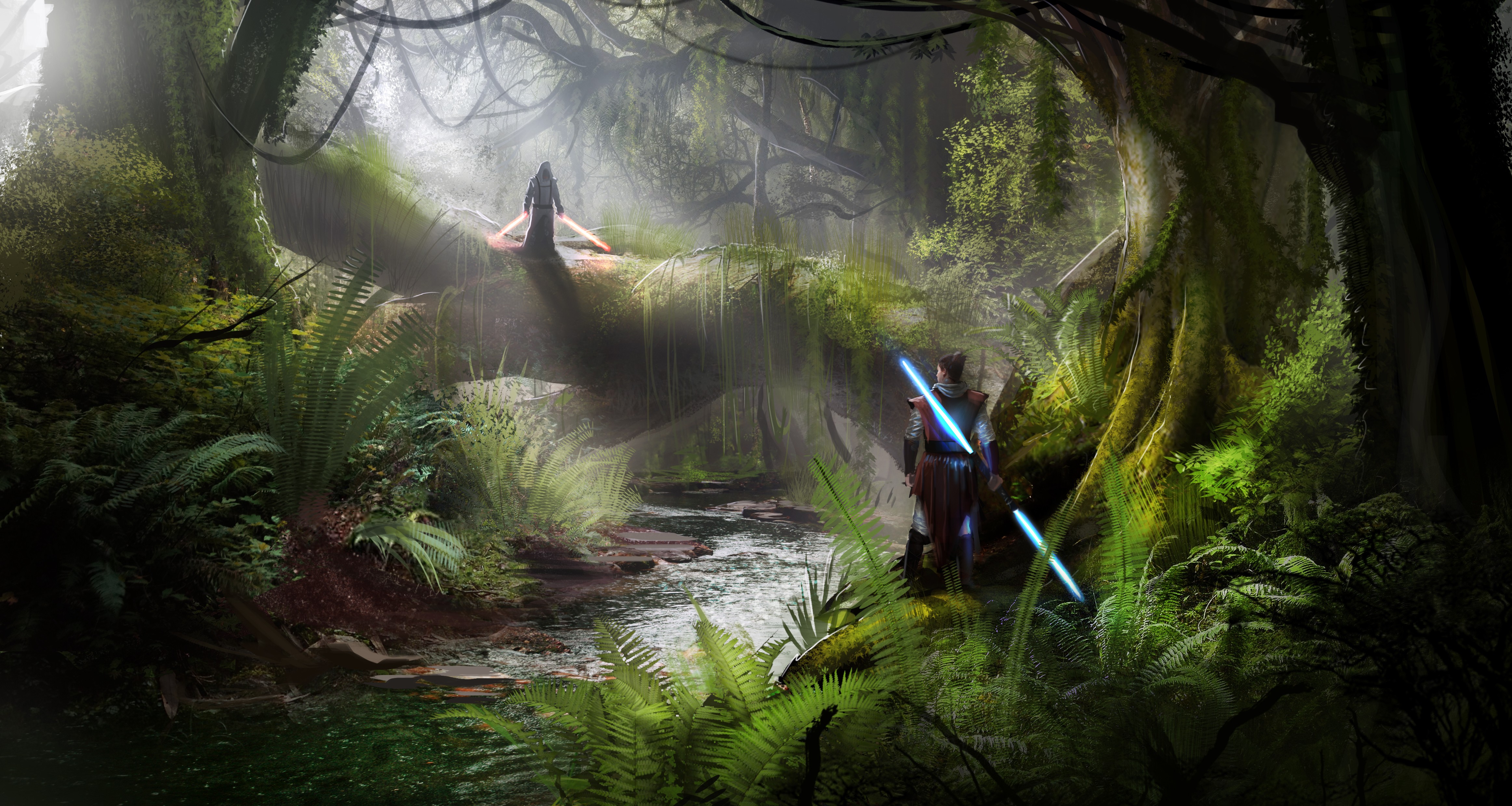 Jedi, Lightsaber, Sith, Forest Wallpaper