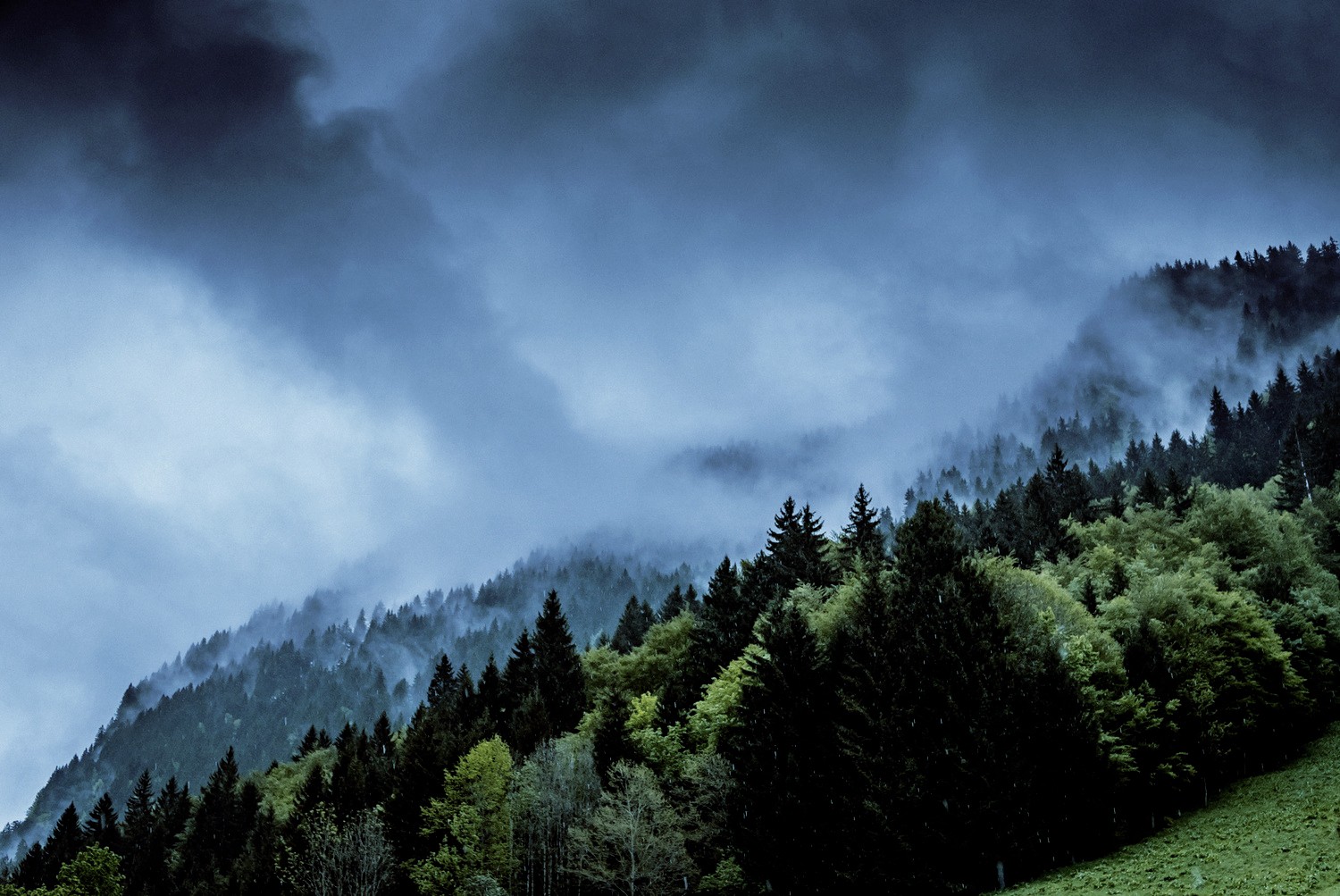 forest, Mountains, Sky Wallpaper
