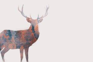 digital art, Animals, Simple background, Deer, White background, Antlers, Double exposure, Nature, Trees, Forest, Fall