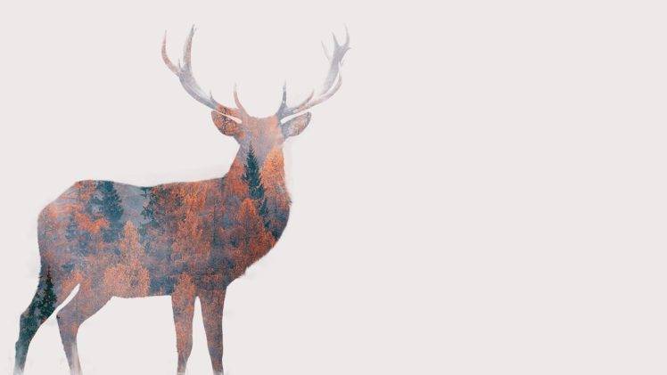 digital art, Animals, Simple background, Deer, White background, Antlers, Double exposure, Nature, Trees, Forest, Fall HD Wallpaper Desktop Background