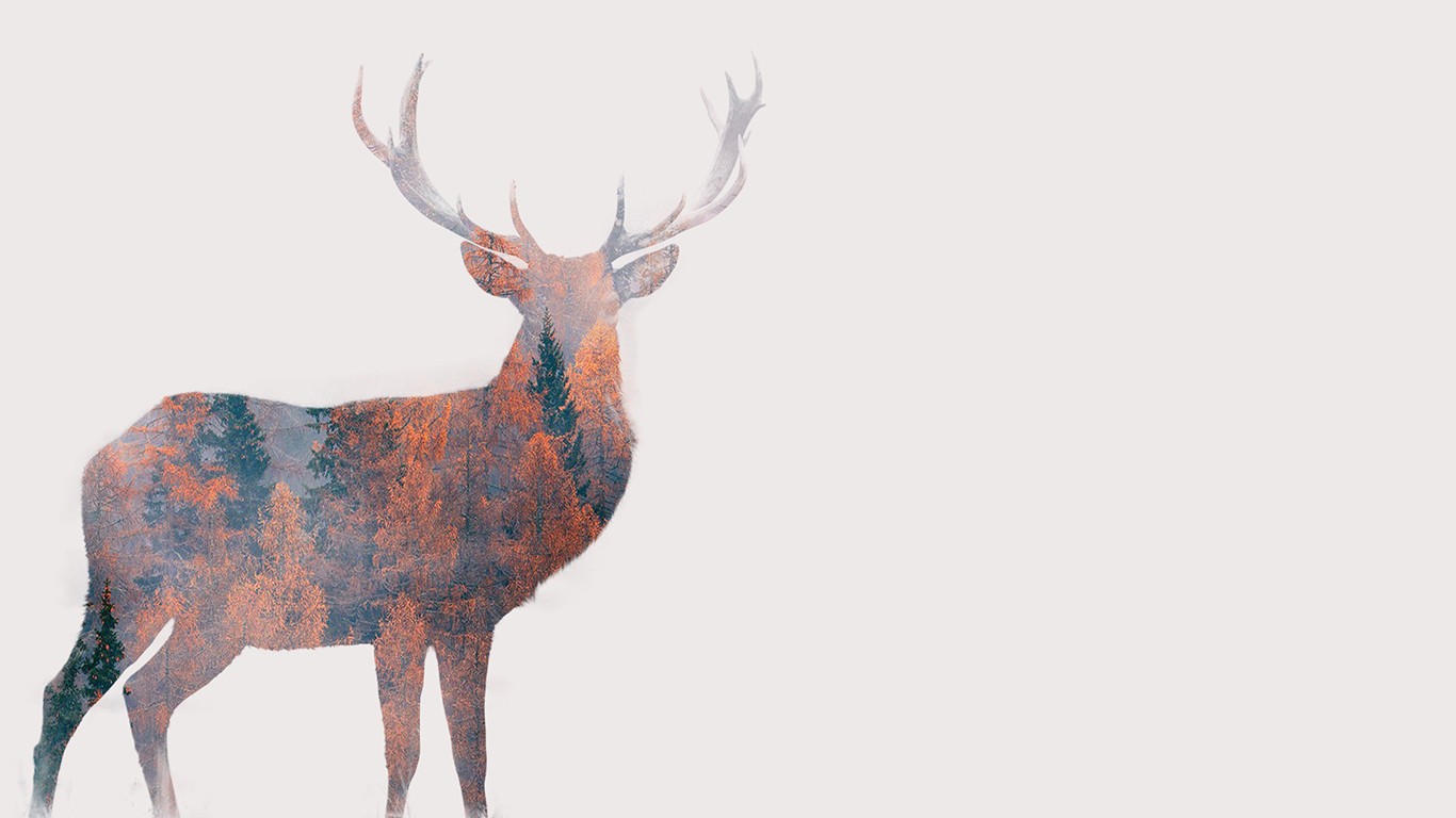 digital art, Animals, Simple background, Deer, White background, Antlers, Double exposure, Nature, Trees, Forest, Fall Wallpaper