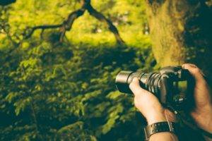 hands, Camera, Depth of field, Forest, Plants