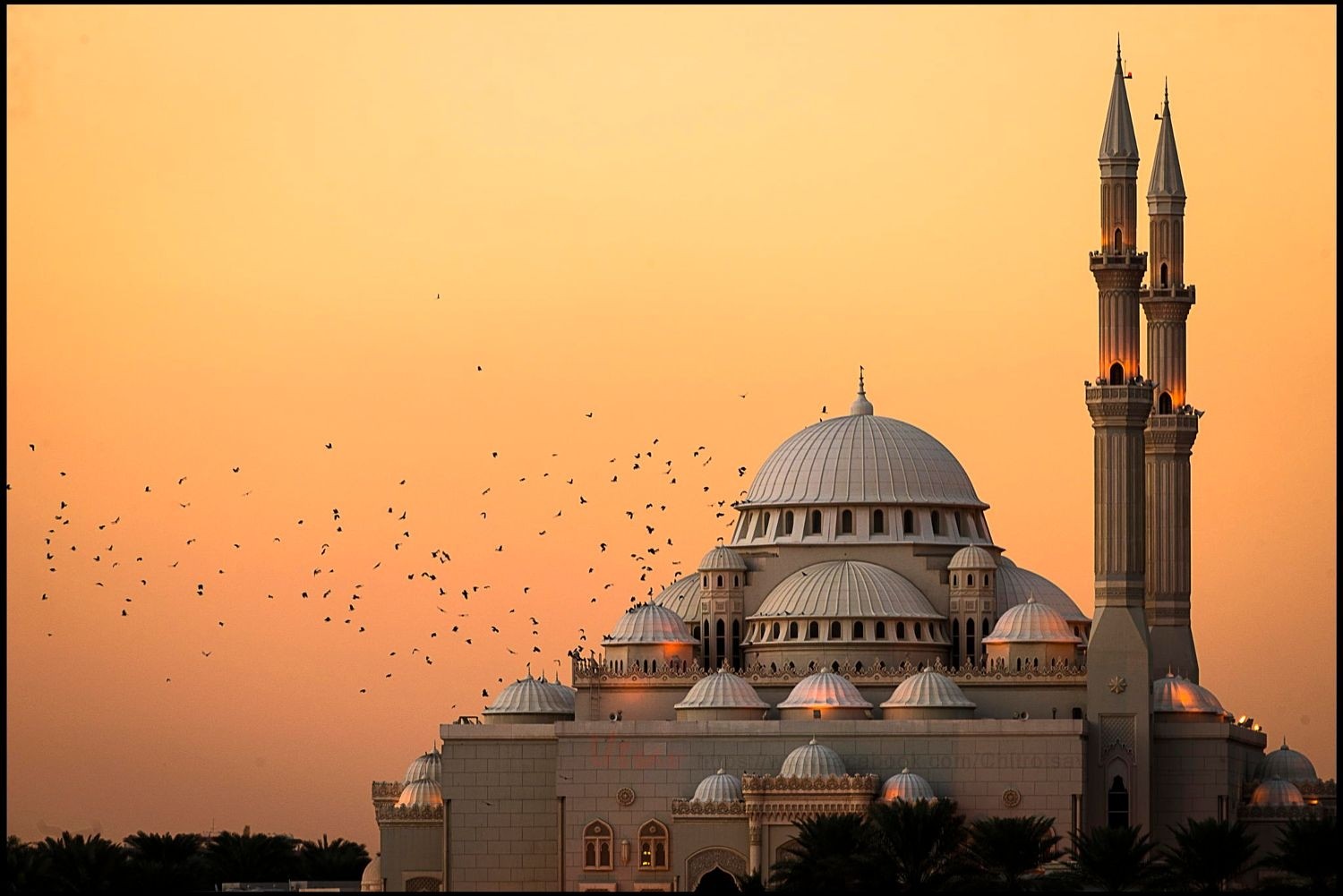 photography, Nature, Landscape, Mosque, Architecture, Islam, Flying, Birds, Sunset, Lights, Religion, India Wallpaper