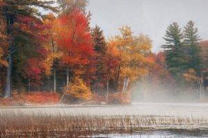 photography, Nature, Landscape, Fall, Trees, Colorful, Mist, Morning, Lake, Forest, Vermont