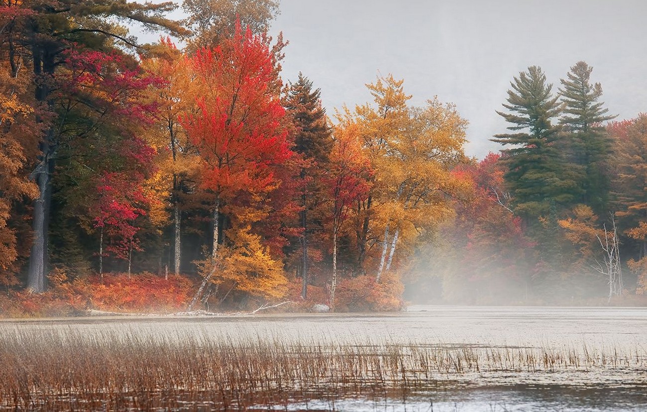 photography, Nature, Landscape, Fall, Trees, Colorful, Mist, Morning, Lake, Forest, Vermont Wallpaper