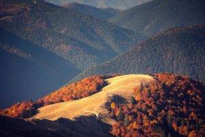 mountains, Nature, Forest, Fall