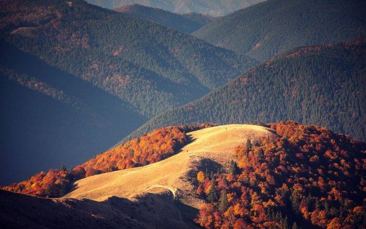 mountains, Nature, Forest, Fall HD Wallpaper Desktop Background