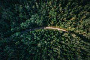 nature, Aerial view, Road, Trees, Forest