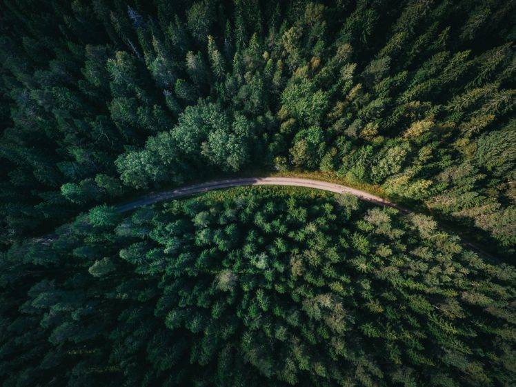 nature, Aerial view, Road, Trees, Forest HD Wallpaper Desktop Background