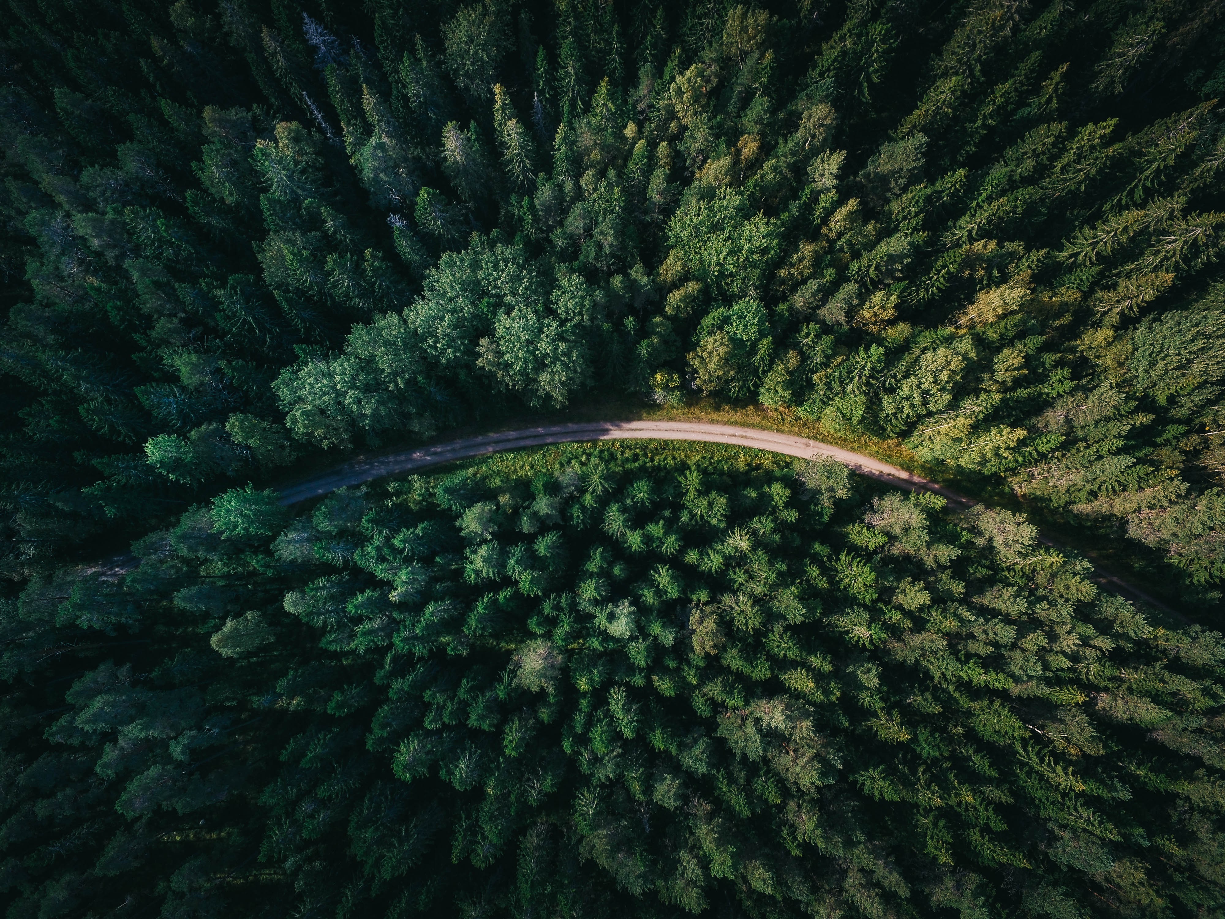 nature, Aerial view, Road, Trees, Forest Wallpaper