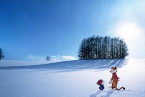 Calvin and Hobbes, Landscape, Snow