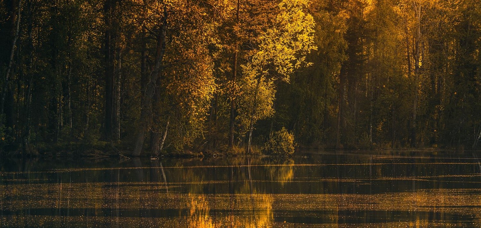 photography, Landscape, Nature, Lake, Forest, Fall, Trees, Reflection, Calm waters, Sunset, Yellow, Leaves Wallpaper
