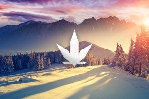 cannabis, Sunset