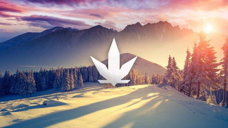 cannabis, Sunset HD Wallpaper Desktop Background
