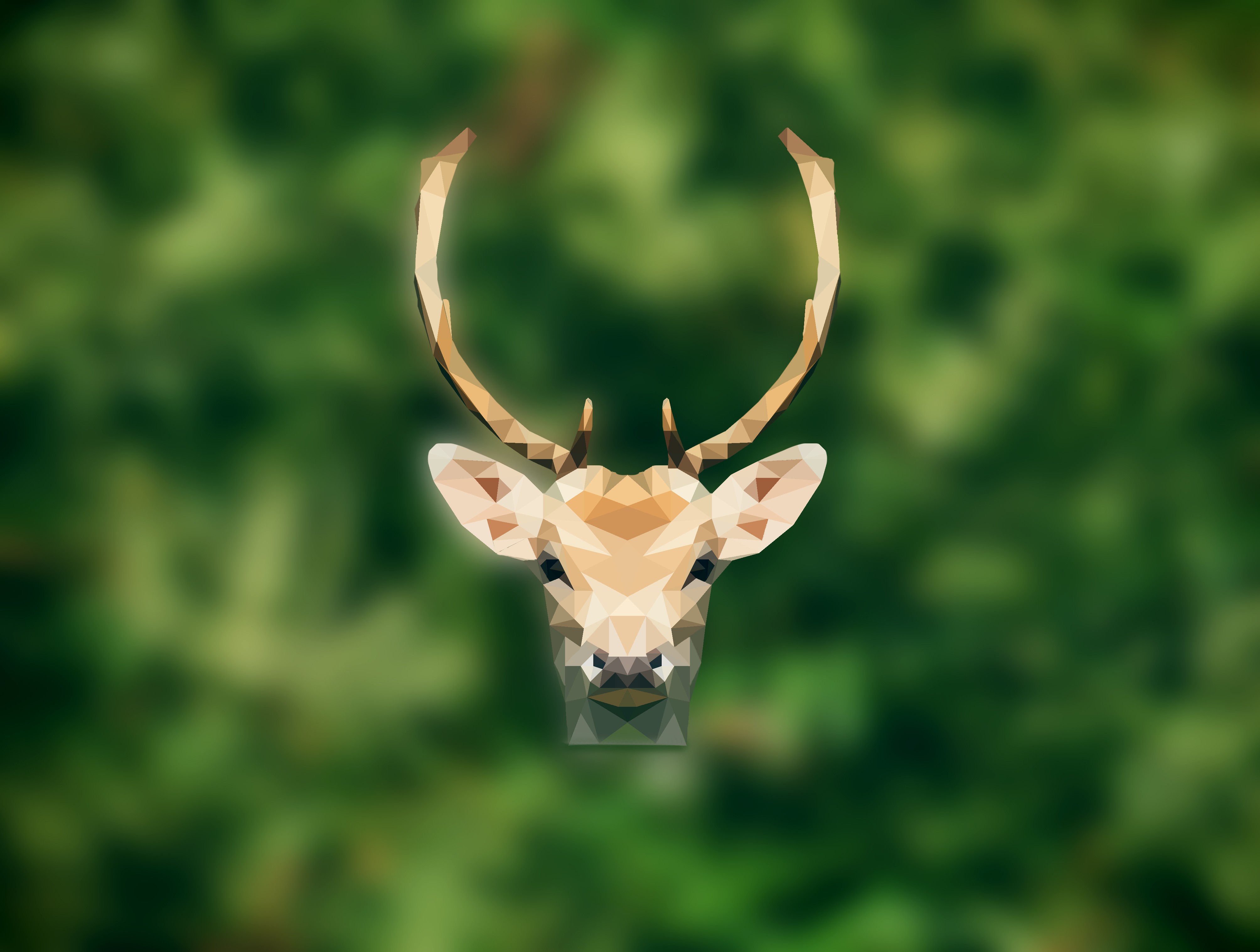deer, Antlers, Fawns, Animals, Low poly, Nature Wallpaper