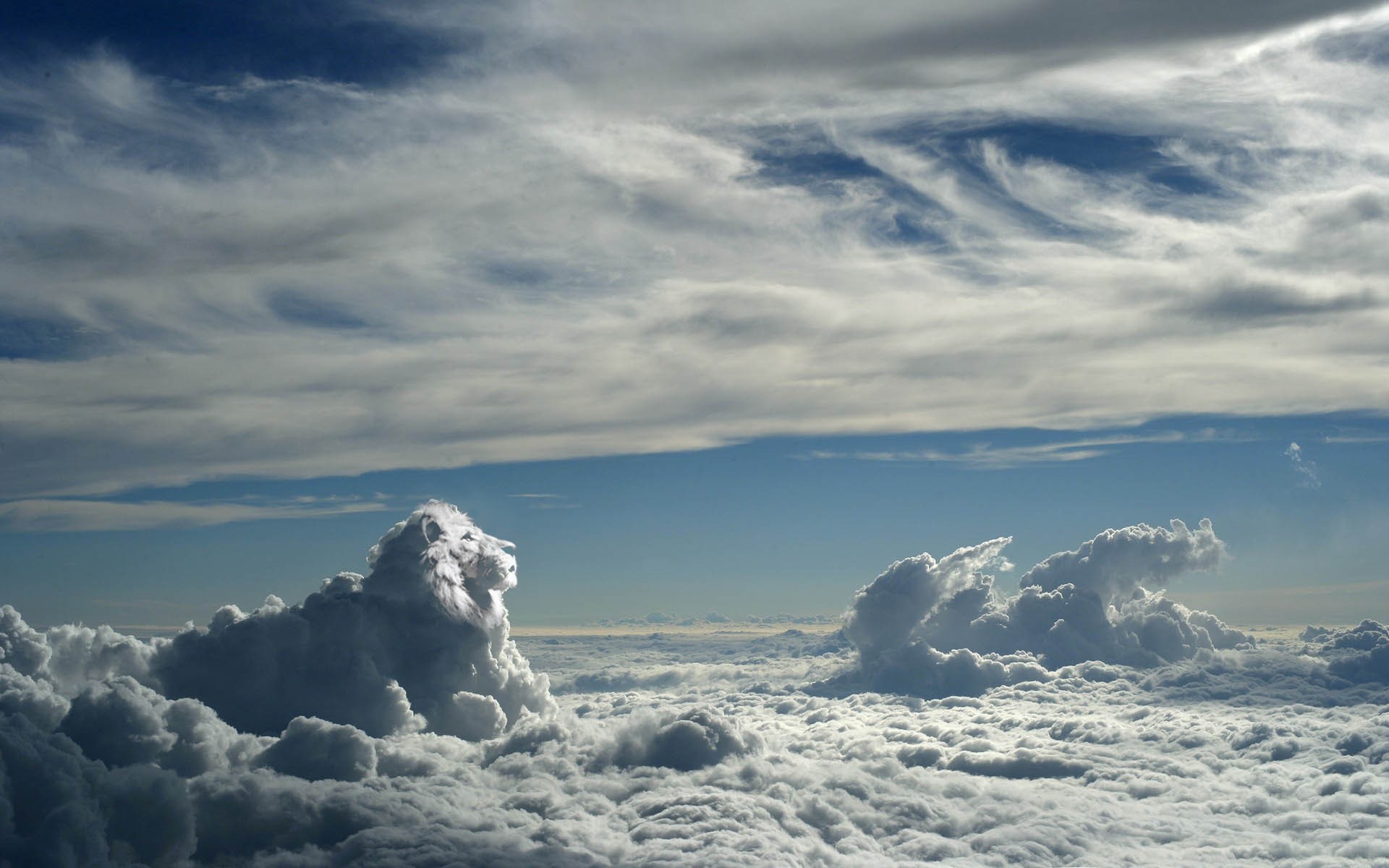 lion, Clouds, Sky Wallpaper