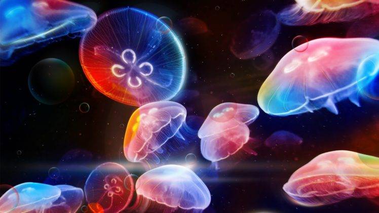Jelly Fish, Sea, Underwater HD Wallpaper Desktop Background