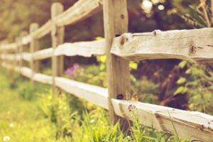 fence, Grass, Plants, Wood
