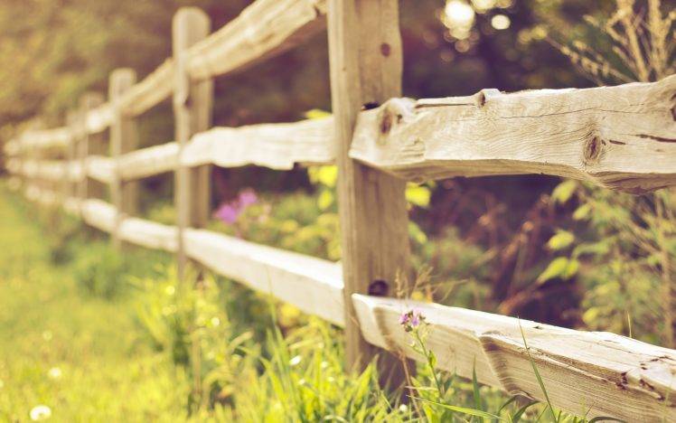 fence, Grass, Plants, Wood HD Wallpaper Desktop Background