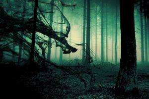 creepy, Green, Forest, Smoke, Shadow, Trees, Grass, Mist