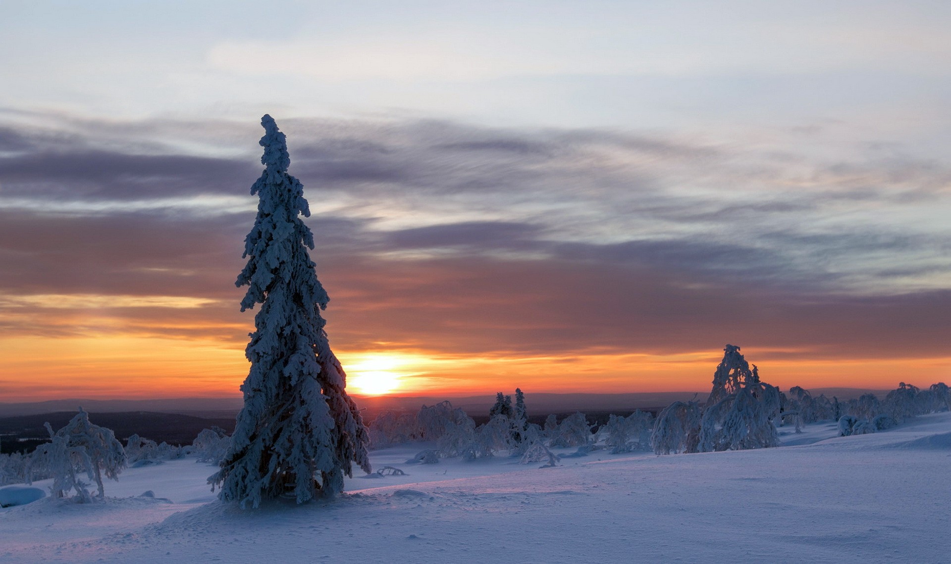 landscape, Snow, Trees Wallpaper