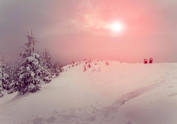 landscape, Snow, Trees, Nature, Winter HD Wallpaper Desktop Background