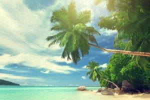 landscape, Water, Tropical, Palm trees, Beach