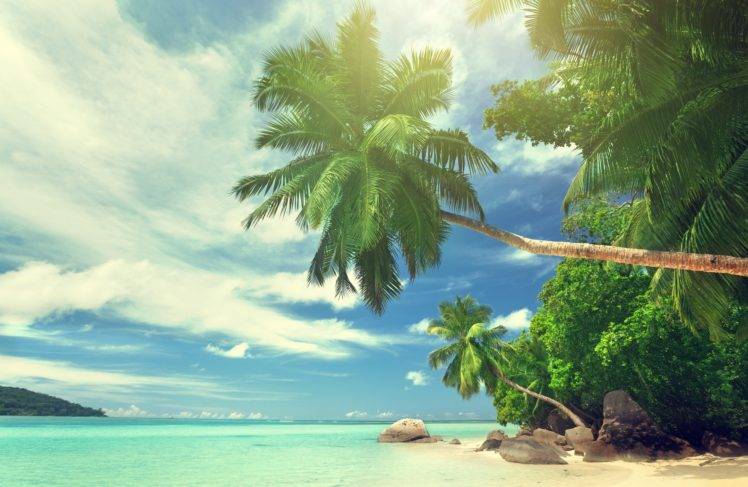 landscape, Water, Tropical, Palm trees, Beach HD Wallpaper Desktop Background