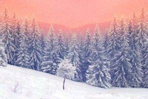 landscape, Snow, Trees