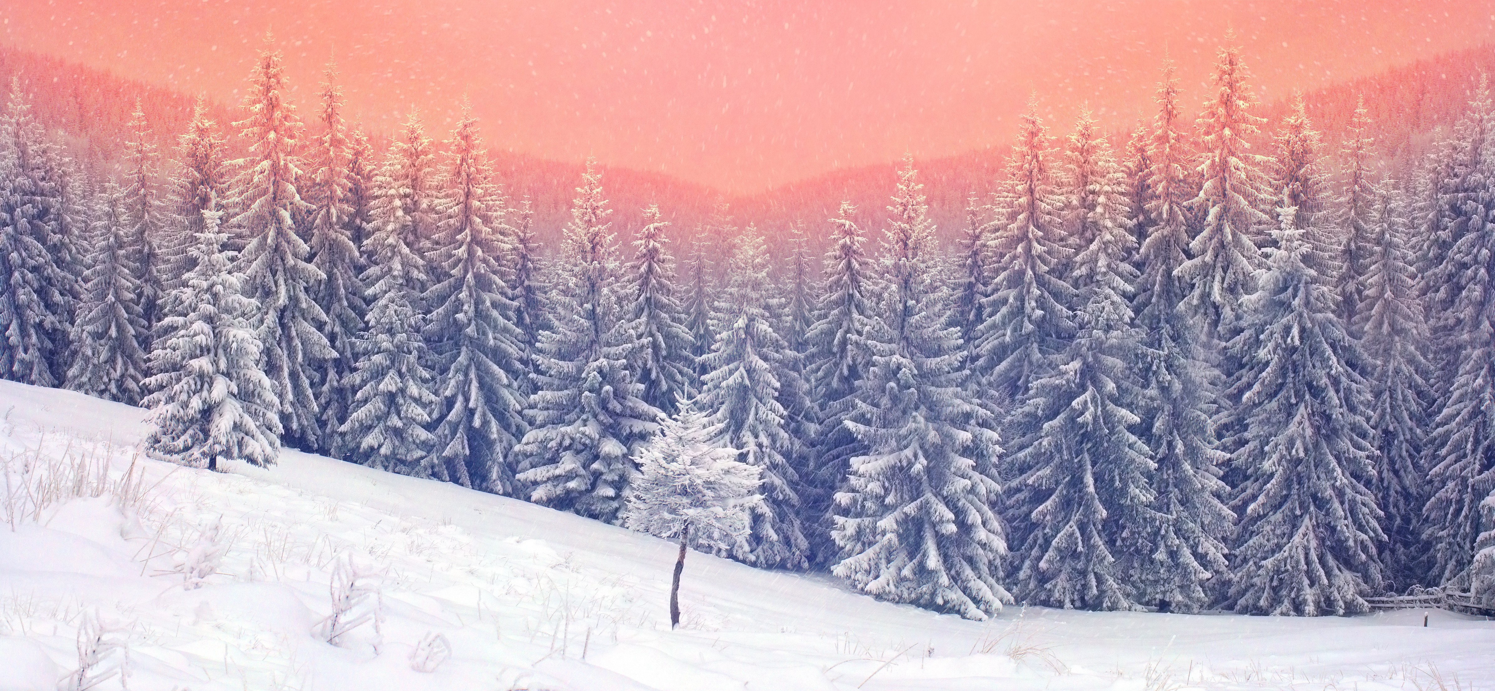 landscape, Snow, Trees Wallpaper