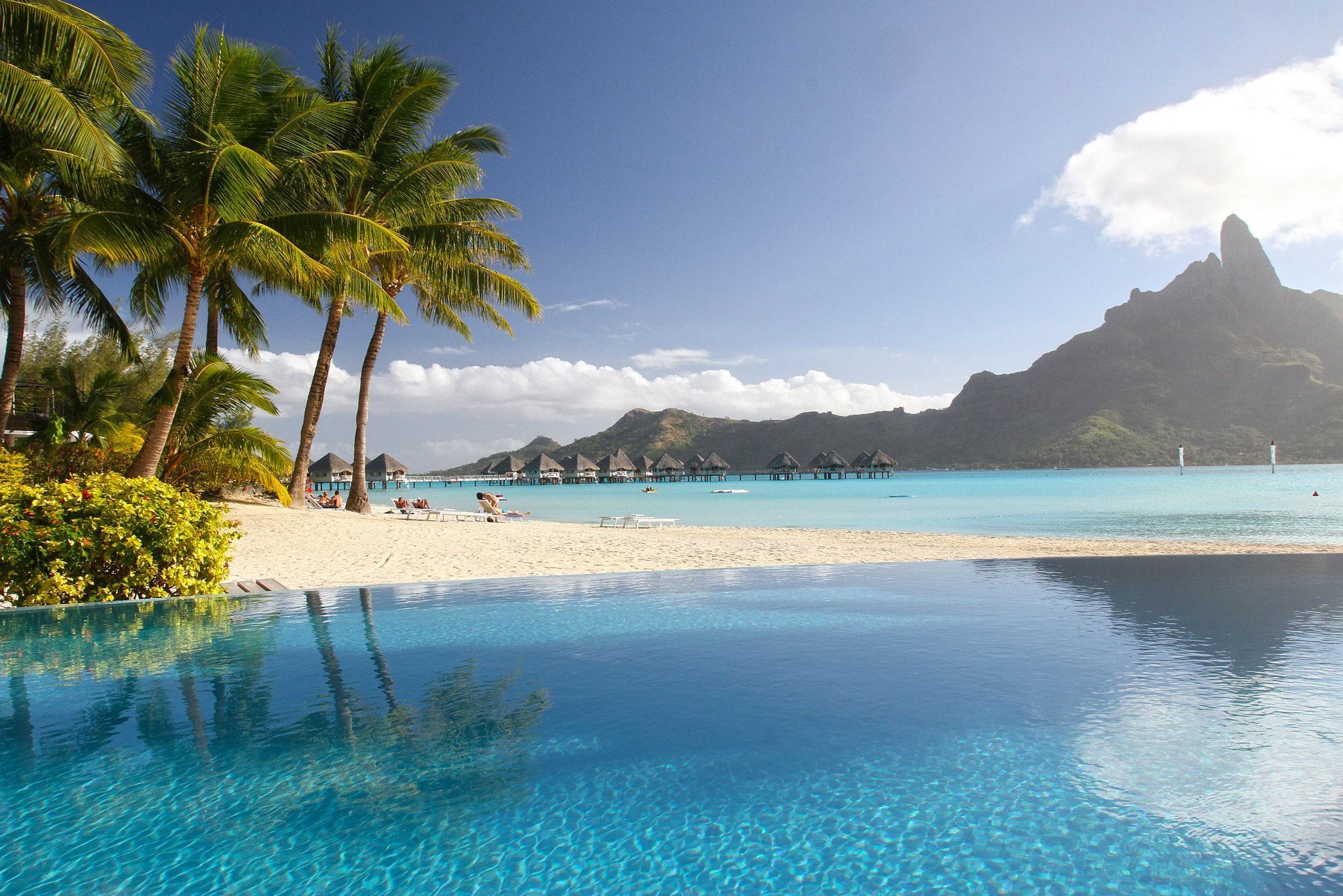 tropical, Palm trees, Landscape Wallpaper