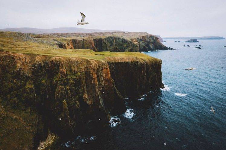 nature, Landscape, Photography, Cliff, Seagulls, Flying, Coast, Sea, Rocks, Scotland HD Wallpaper Desktop Background