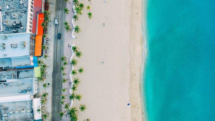 nature, Waves, Landscape, Beach, Palm trees HD Wallpaper Desktop Background