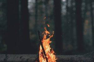 nature, Landscape, Portrait display, Wood, Fire, Branch, Trees, Forest, Burning, Campfire, Leaves, Dark, Depth of field