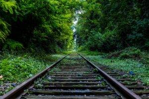 train, Railway, Green, Forest