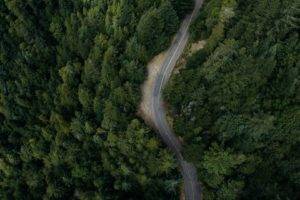 nature, Trees, Road, Aerial view