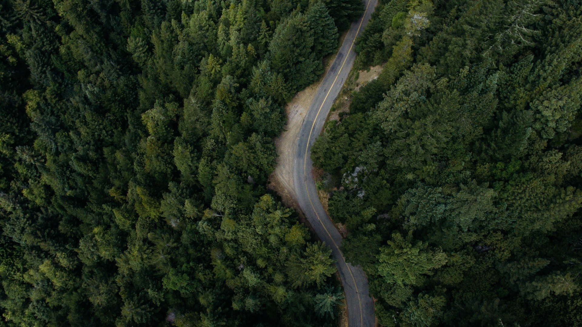 nature, Trees, Road, Aerial view Wallpaper