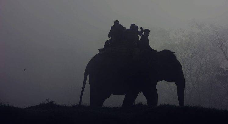 people, Nature, Elephant, Mist HD Wallpaper Desktop Background
