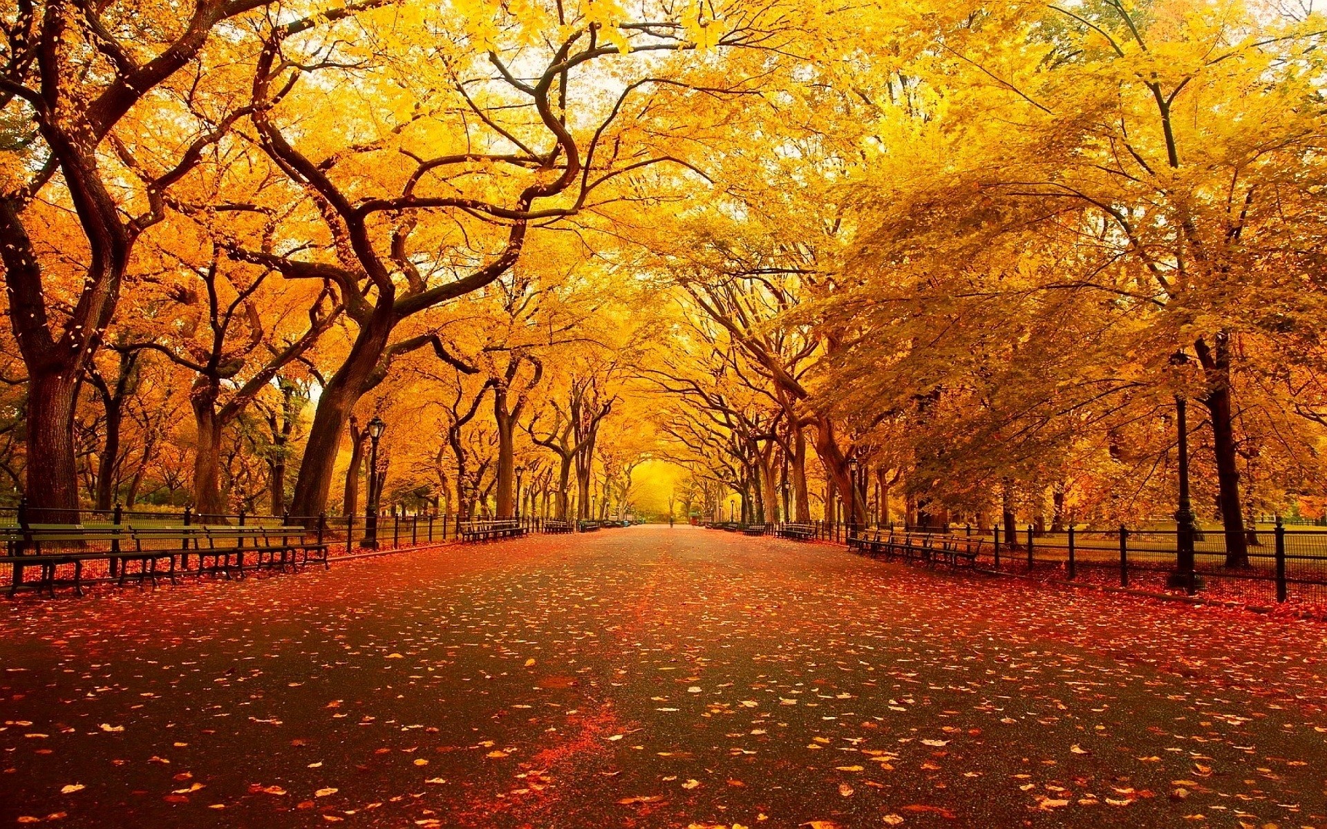 landscape, Street, Leaves, Fall Wallpaper